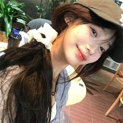 双生赤狐